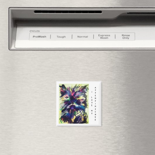 Affenpinscher Magnet (In Situ (Geschirrspüler))