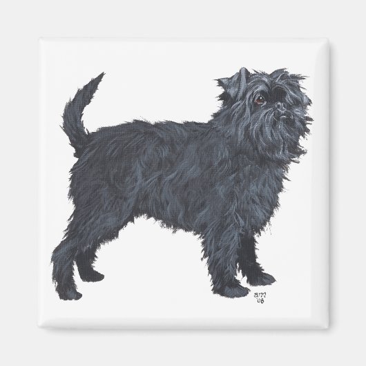Affenpinscher Magnet (Vorne)