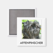 Affenpinscher Magnet (Vorderseite/Rückseite)