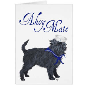 Affenpinscher Matrose