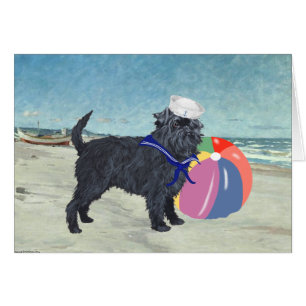 Affenpinscher Matrose