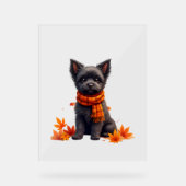 Affenpinscher mit Herbst-Blättern Acrylschild (Vorderseite)
