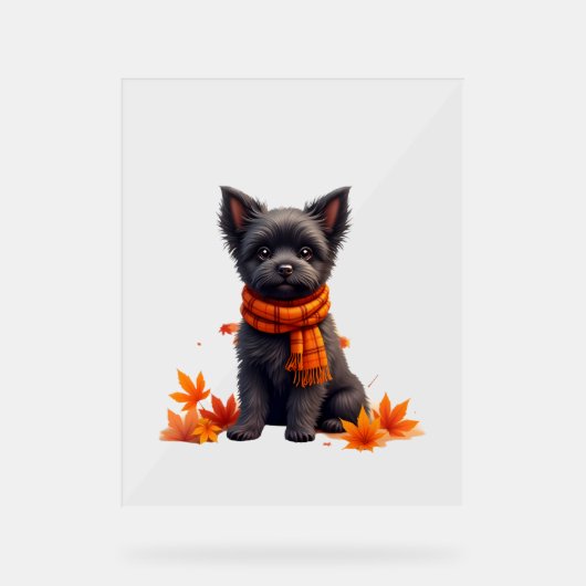 Affenpinscher mit Herbst-Blättern Acrylschild (Vorderseite)