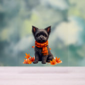Affenpinscher mit Herbst-Blättern Acrylschild (Neutral)