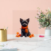 Affenpinscher mit Herbst-Blättern Acrylschild (Hochzeit)