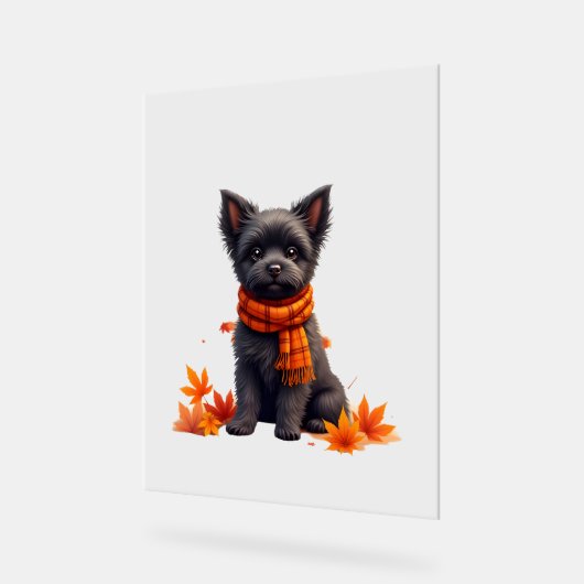 Affenpinscher mit Herbst-Blättern Acrylschild (Winkel)
