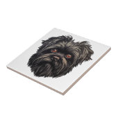 Affenpinscher Monkey Dog Affens Terrier Fliese (Seite)