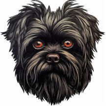 Affenpinscher Monkey Dog Affens Terrier Magnet