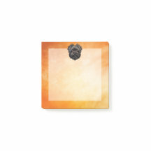 Affenpinscher Monkey Dog Affens Terrier