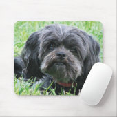 Affenpinscher Mousepad (Mit Mouse)