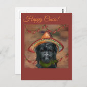 Affenpinscher Postkarte (Vorne/Hinten)