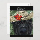 Affenpinscher Postkarte (Vorne/Hinten)