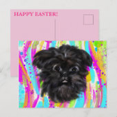 Affenpinscher Postkarte (Vorne/Hinten)