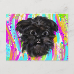Affenpinscher  postkarte