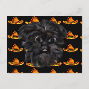 Affenpinscher Postkarte