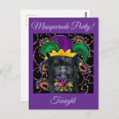 Affenpinscher Postkarte (Vorne/Hinten)