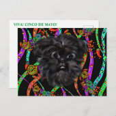Affenpinscher Postkarte (Vorne/Hinten)