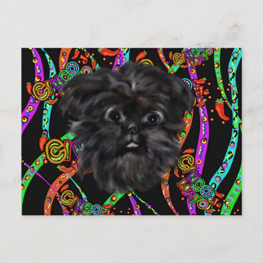 Affenpinscher Postkarte (Vorderseite)