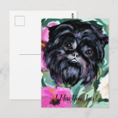Affenpinscher Postkarte (Vorne/Hinten)