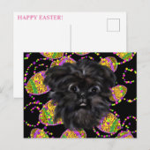 Affenpinscher Postkarte (Vorne/Hinten)