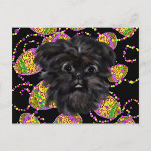Affenpinscher Postkarte