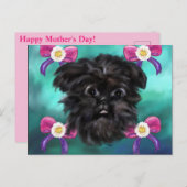 Affenpinscher Postkarte (Vorne/Hinten)