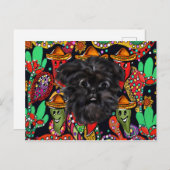 Affenpinscher Postkarte (Vorne/Hinten)