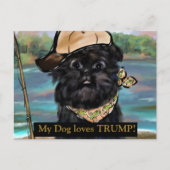 Affenpinscher Postkarte (Vorderseite)