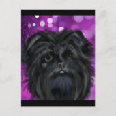 Affenpinscher Postkarte (Vorderseite)