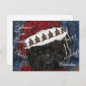 Affenpinscher Postkarte (Vorne/Hinten)