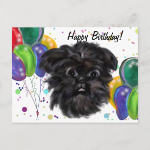 Affenpinscher  postkarte