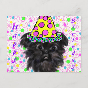 Affenpinscher  postkarte