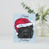 Affenpinscher Postkarte (Stehend Vorderseite)