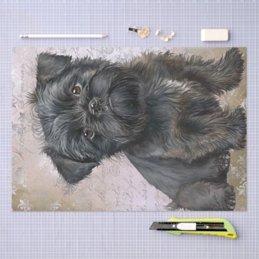 Affenpinscher Puppy Dog Seidenpapier (Handwerk)
