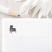 Affenpinscher Rücksendeadresse (Insitu)