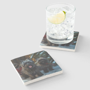 Affenpinscher Schneebetriebene Schlittenfahrt Weih Steinuntersetzer