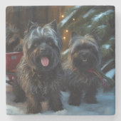 Affenpinscher Snowy Sleigh Ride Weihnachtsdekor Steinuntersetzer (Vorderseite)