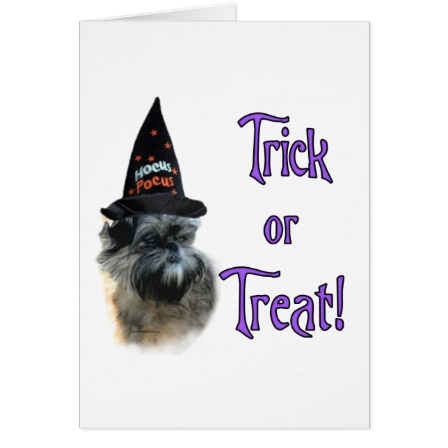 Affenpinscher Trick (Vorne)