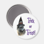 Affenpinscher Trick Magnet (Vorderseite/Rückseite)