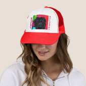 Affenpinscher Truckerkappe (Beispiel)