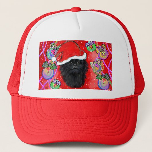 Affenpinscher Truckerkappe (Vorderseite)