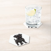 Affenpinscher Untersetzer (Vor Ort)