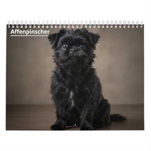 Affenpinscher Wandkalender. Kalender (Titelbild)