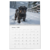 Affenpinscher Wandkalender. Kalender (Jan 2027)