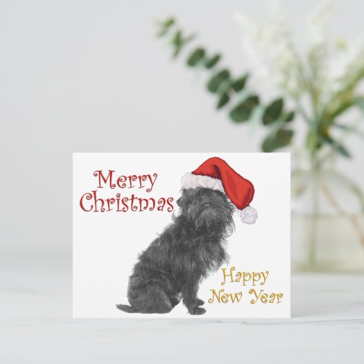 Affenpinscher Weihnachten (Stehend Vorderseite)