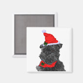 Affenpinscher Weihnachtsgeschenke Magnet (Vorderseite/Rückseite)