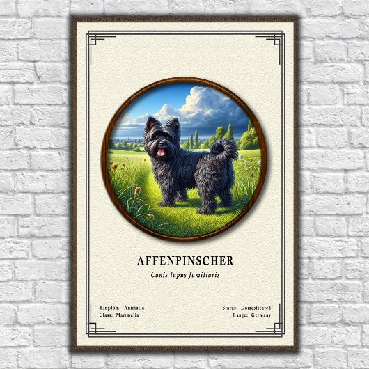 Affenpinscher Zoologie-Serie Poster