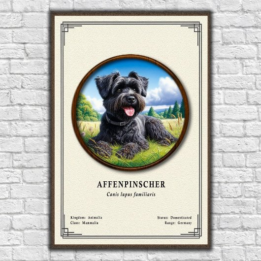 Affenpinscher Zoology Series Poster