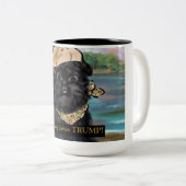 Affenpinscher Zweifarbige Tasse (VorderseiteRechts)