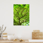 Affenpod Tree Poster (Küche)